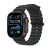 Apple Watch Ultra 2 Titanium (Cellular) 49mm Titaniumgehäuse schwarz, Ocean Armband schwarz