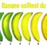 Wie erkenne ich hochwertige Kohlenhydrate?